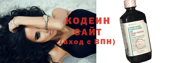 хмурый Карпинск