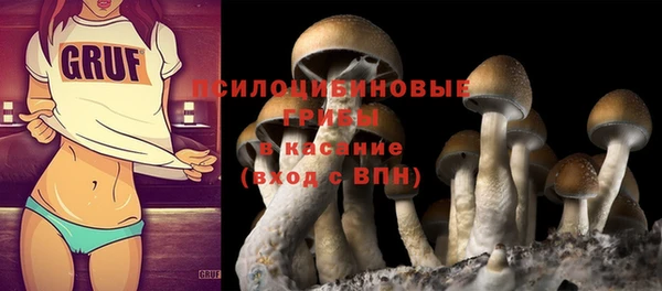 соль ск Михайлов